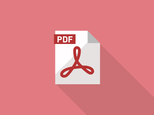 大会概要PDF イメージ